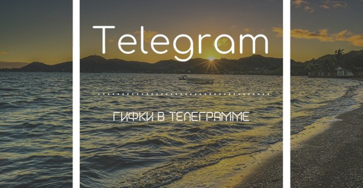 Гифки в Телеграмме