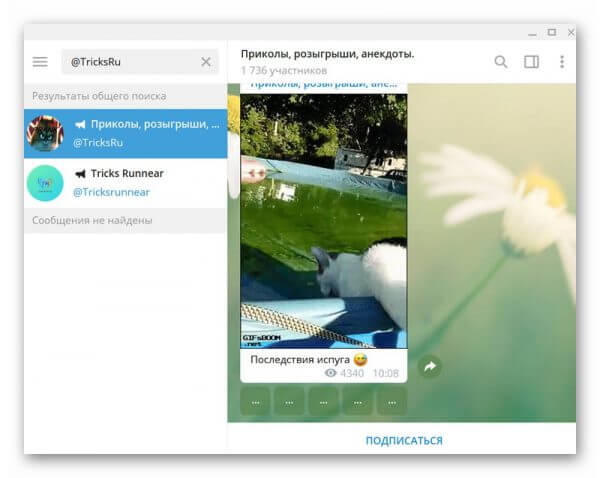 Телеграмм каналы приколы картинки